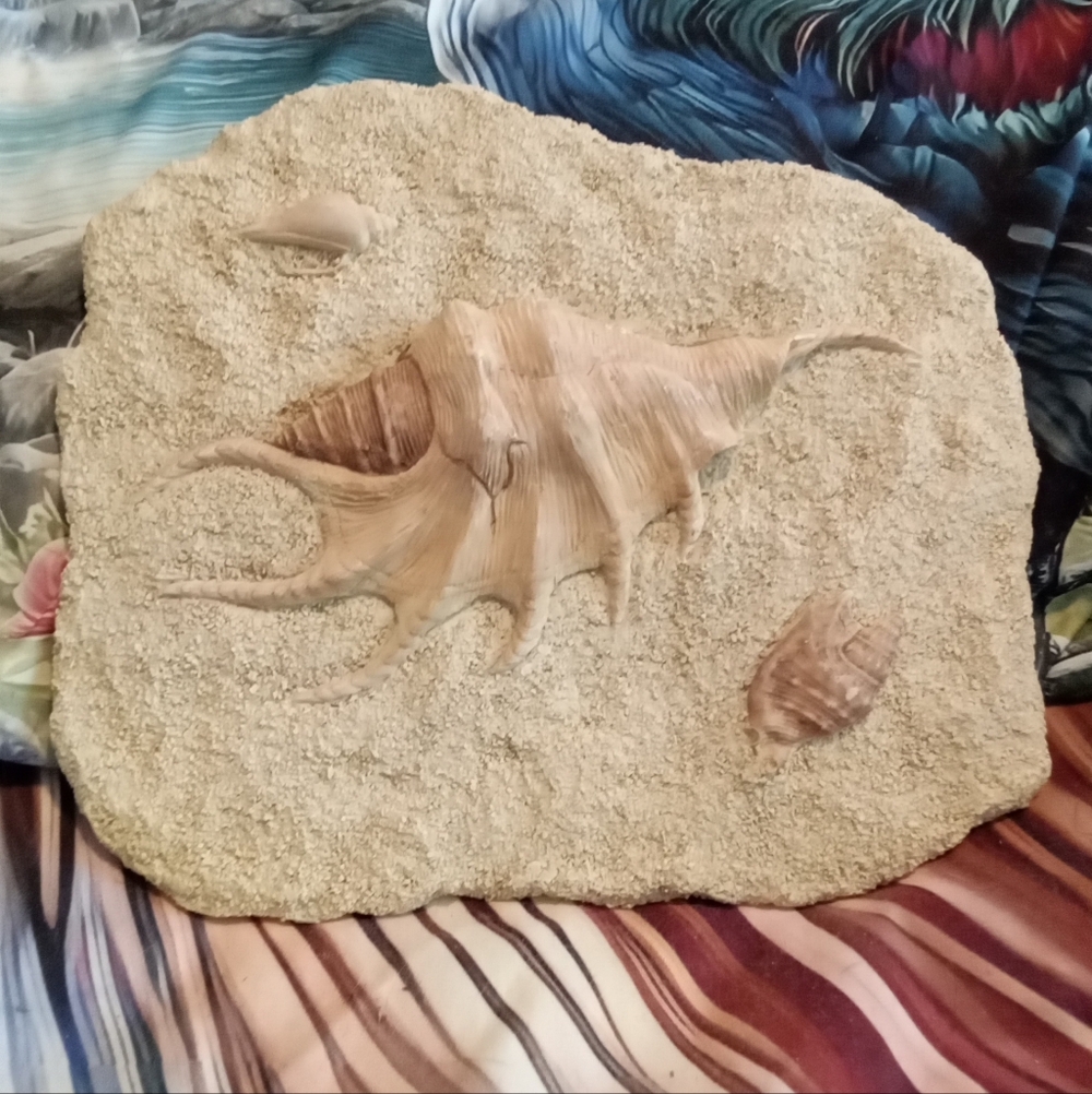 #1509 Conch Shell Wall Art